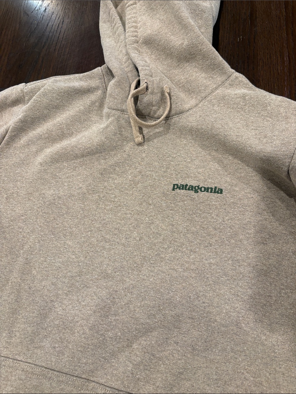 Patagonia Gray Pullover Hoodie with Green Logo